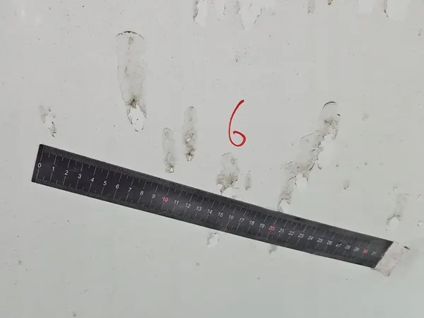 Framhuv Fiat Doblo I Lift 05-10 Vit IMPRK1381789 image 9