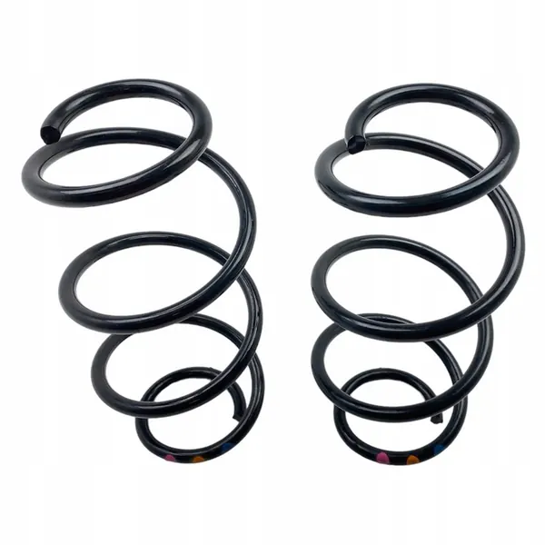 Molas traseiras Renault Express Van 550204946R image 1