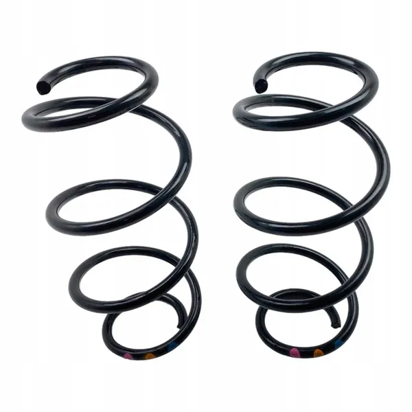 Molas traseiras Renault Express Van 550204946R image 2