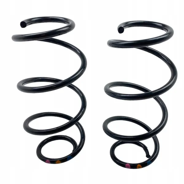 Molas traseiras Renault Express Van 550204946R image 3