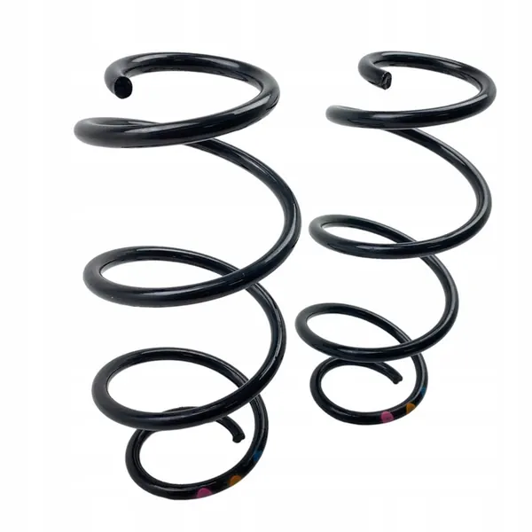 Molas traseiras Renault Express Van 550204946R image 4