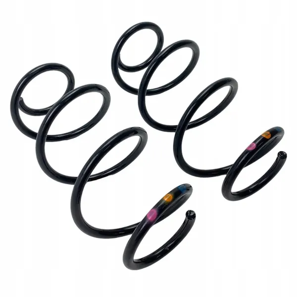 Molas traseiras Renault Express Van 550204946R image 7