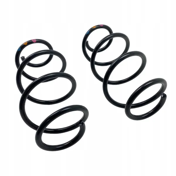 Molas traseiras Renault Express Van 550204946R image 9