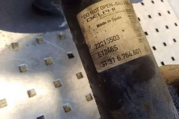 Ammortizzatore anteriore sinistro BMW X5 (E53) 31316764601 image 2