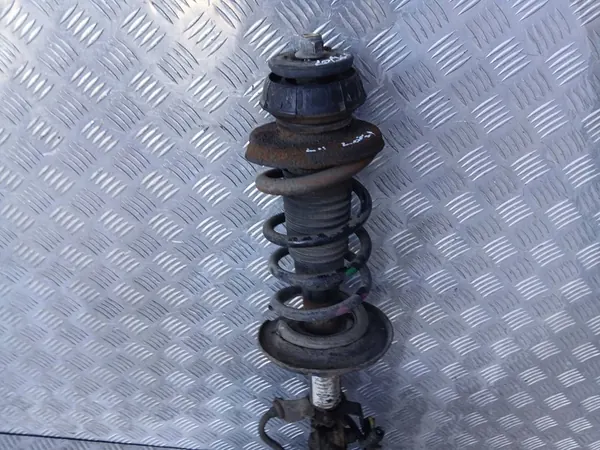 DACIA LODGY BRACCIO SINISTRO 1.3 2020 image 2