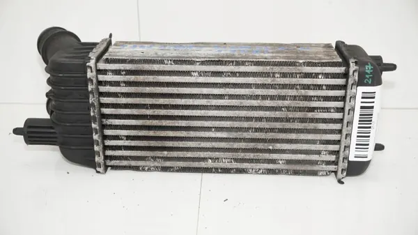 OEM 360186495 Intercooler Citroen Jumpy II 1.6 HDI:lle image 4