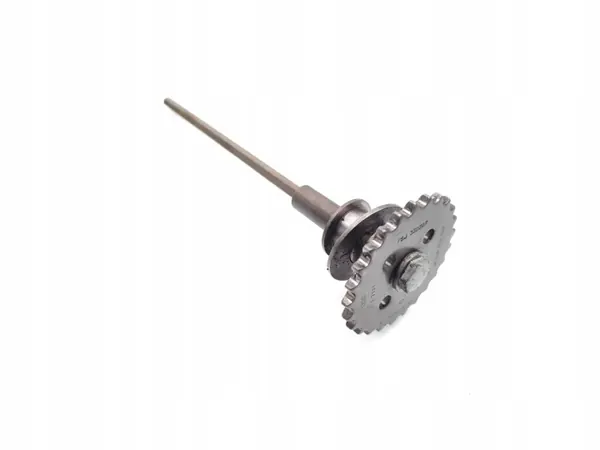 Audi A6 Kamkedjehjul OEM 079109570AP image 10
