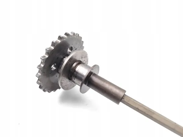Audi A6 Kamkedjehjul OEM 079109570AP image 5