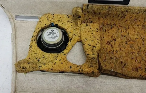 OEM 7141232/6923174 Kofferbakplank Luidsprekers BMW E90 image 5