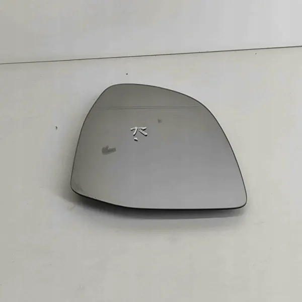 Insert miroir gauche BMW X7 G07 2022 OEM 7291219 image 6