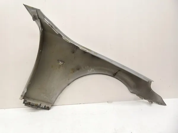 Parafango anteriore sinistro BMW nero image 10