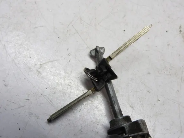 Insert de clé Toyota Urban Cruiser OEM w615f - Occasion image 3