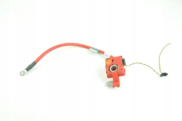 Terminal Positivo BMW OE 9217030 image 4