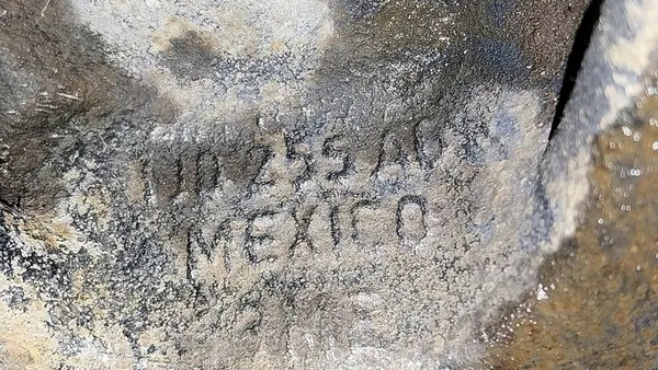 Ammortizzatore Anteriore Sinistro Golf IV A3 8L Octavia I Leon I 1.9 TDI OEM image 7