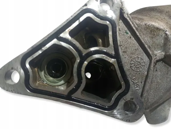 Ilmansuodatin Kotelo OEM CAG19562 Mini Cooper R50 image 4