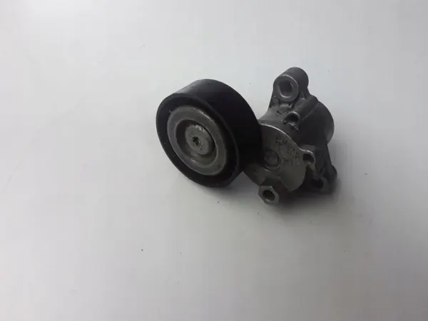 Tensor de correia Ford Focus OEM 1014902 image 5