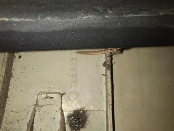 Linker achterlicht Mercedes W208 A2088200164 image 5