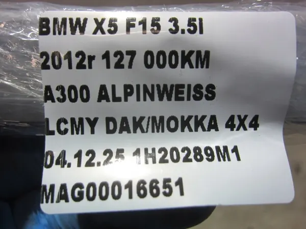 BMW X5 F15 Raspador Ventana Izquierdo OEM 7387917 Blanco image 9