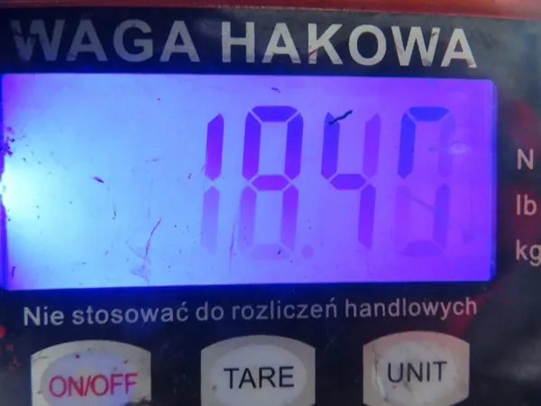Hinterachse OEM SANKI TYŁ FIAT PANDA II (169_) image 10