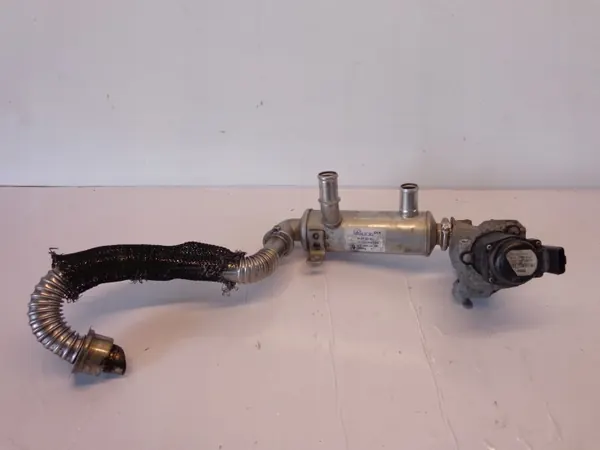 OEM 9646762280 9685640480 Kühler + EGR für Citroen image 2