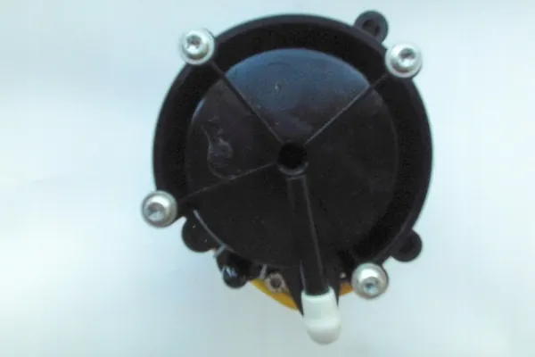 Bomba LPI VIALLE + Aceite Original 30ml image 4