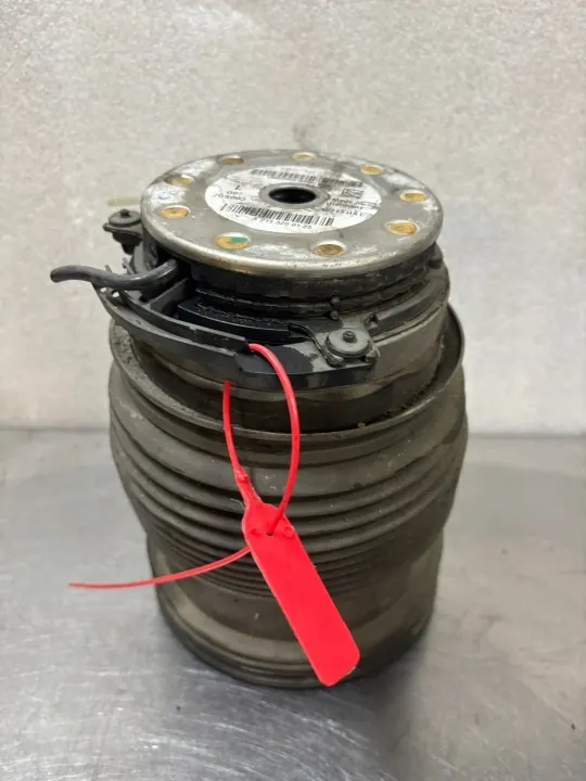Mola de ar traseira esquerda OEM A2133200125 Mercedes image 2