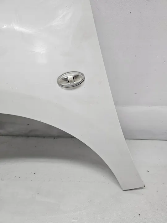 Vänster framskärm CITROEN BERLINGO III MULTISPACE EWP Vit 18-23 image 5