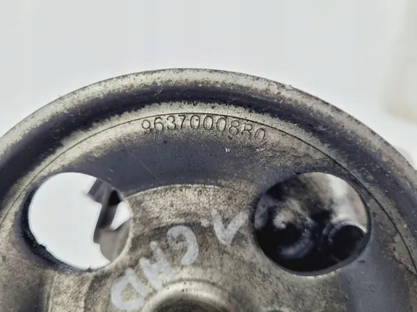 Bomba de direção OEM 9637000880 para Citroen Berlingo image 5