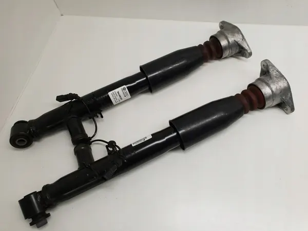 Amortizzatore posteriore A6 C6 4F0616031M 4F0616032M image 3