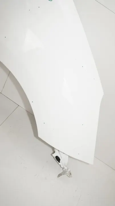 Framre höger stänkskärm OEM 360196711 för Citroen C3 II image 7