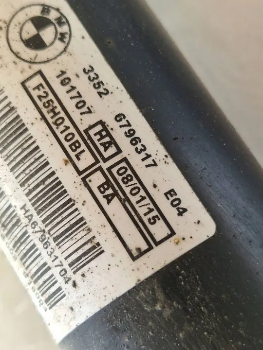 Amortizzatore posteriore BMW X3 F25 2015 con molla OEM image 4