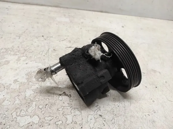 DACIA SANDERO 1 I 08- 1.6 Bomba de Direção Assistida 491100699R image 3