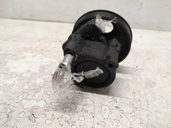 DACIA SANDERO 1 I 08- 1.6 Bomba de Direção Assistida 491100699R image 4