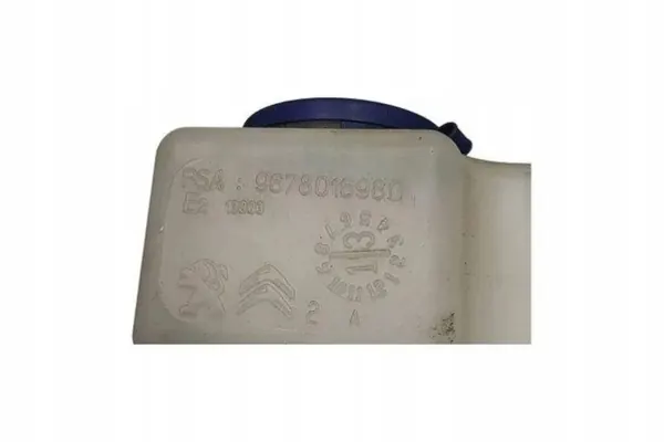OEM 9678016980 Maître-cylindre pour Peugeot 5008 image 5