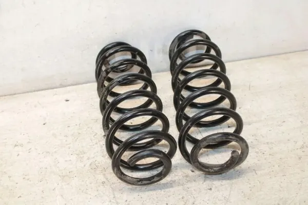 Mola amortecedor traseira esquerda VW TIGUAN OEM 78731 image 2