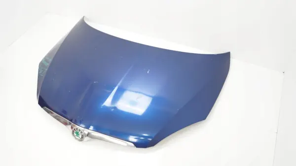 Capó Motor OEM 360207620 para Skoda Fabia II image 3