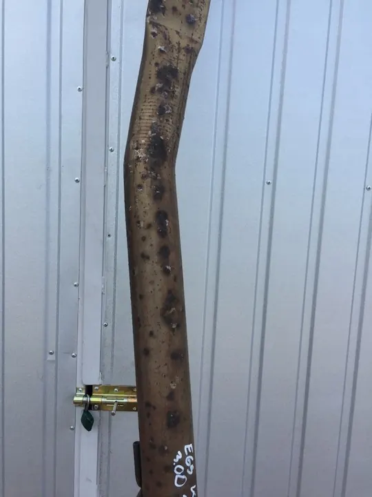 Komplett avgassystem BMW E65 E66 3.0D image 9