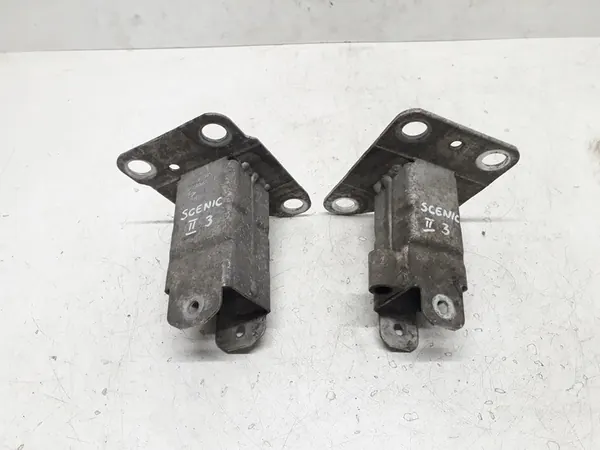 ETULIITIN RENAULT SCENIC 2 II 8200011107 8200011108 image 2