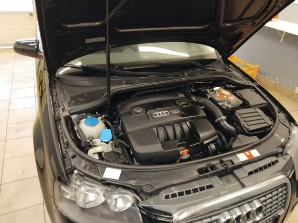 Junta do Compartimento Motor OEM Audi A3 8P 2004-2012 image 5