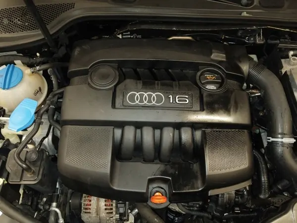 Junta do Compartimento Motor OEM Audi A3 8P 2004-2012 image 6