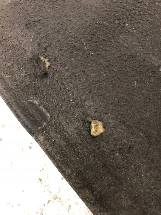 Motorhauben-Isolierung Skoda Octavia II Scout 1Z0863831A image 4