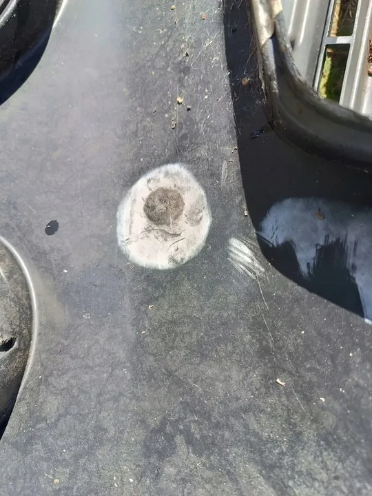 Paraurti anteriore originale Nissan Micra K12 Cabrio image 5