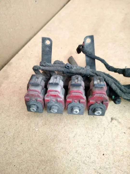 OEM 100 LPG-Kit für Renault Laguna II 1.8 image 3
