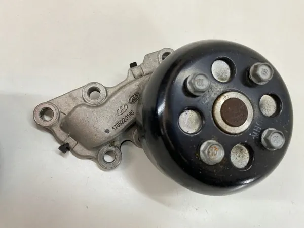 Waterpomp poelie OEM 1708220165 voor Kia Picanto III image 4