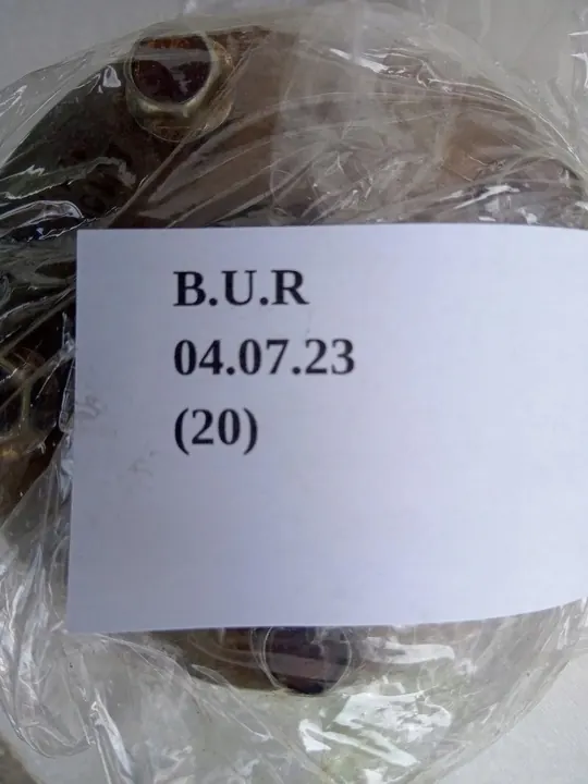 Engrenage de distribution Infiniti FX35 G35 350Z Murano VQ35DE image 6