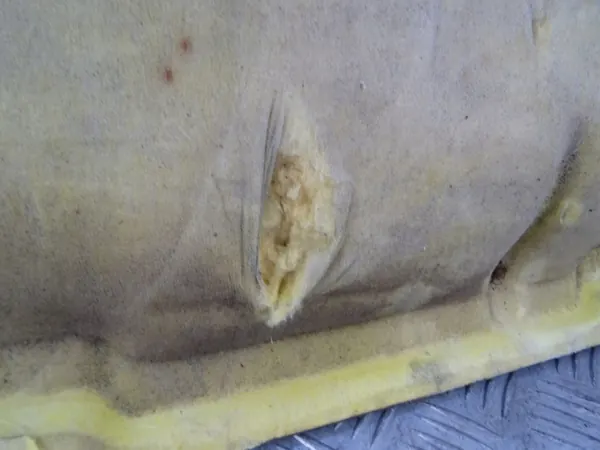 CITROEN C3 PICASSO WYGŁUSZENIE MASKI - Pièce OEM image 6