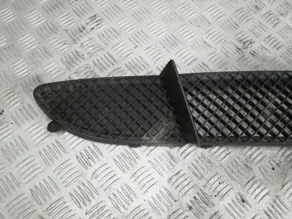 Griglia Paraurti Anteriore BMW 1 51117131690A image 2