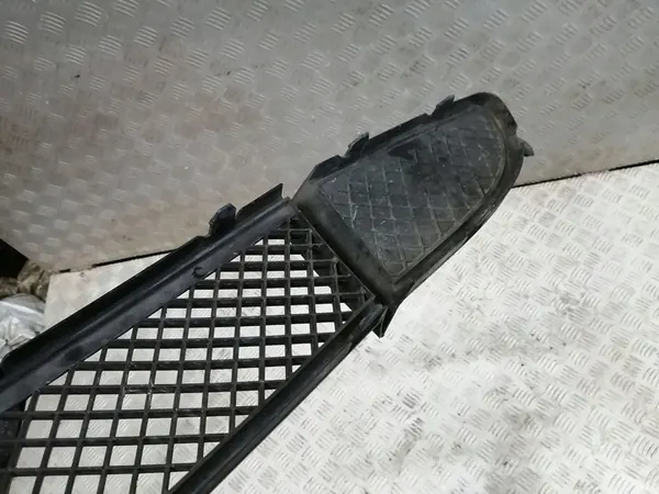 Griglia Paraurti Anteriore BMW 1 51117131690A image 6