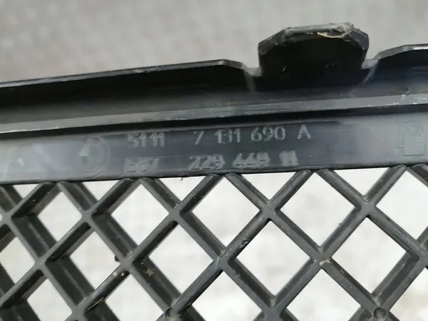 Griglia Paraurti Anteriore BMW 1 51117131690A image 7