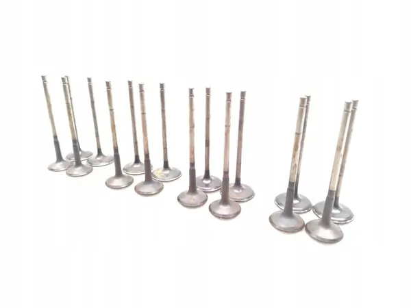 Klep Toyota RAV4 2.5 Hybride AWD 16 PCS 2023 image 2